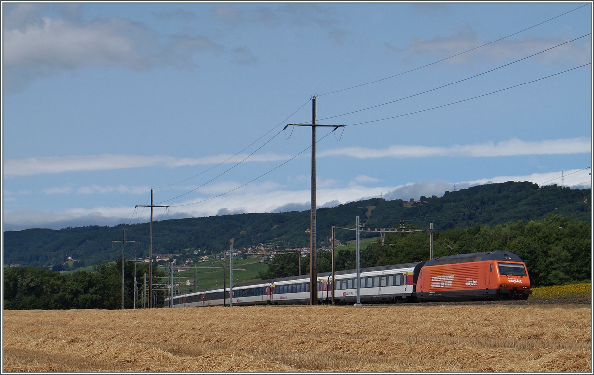 Die SBB Re 460 063-1  easy jet  mit einem IR nach Brig bei Allaman. 
8. Juli 2015