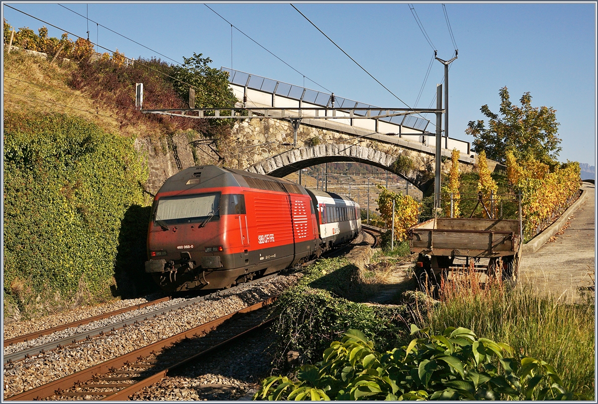 Die SBB Re 460 068-0 schiebt bei Cully ihren IR Richtung Brig.
16. Okt. 2017