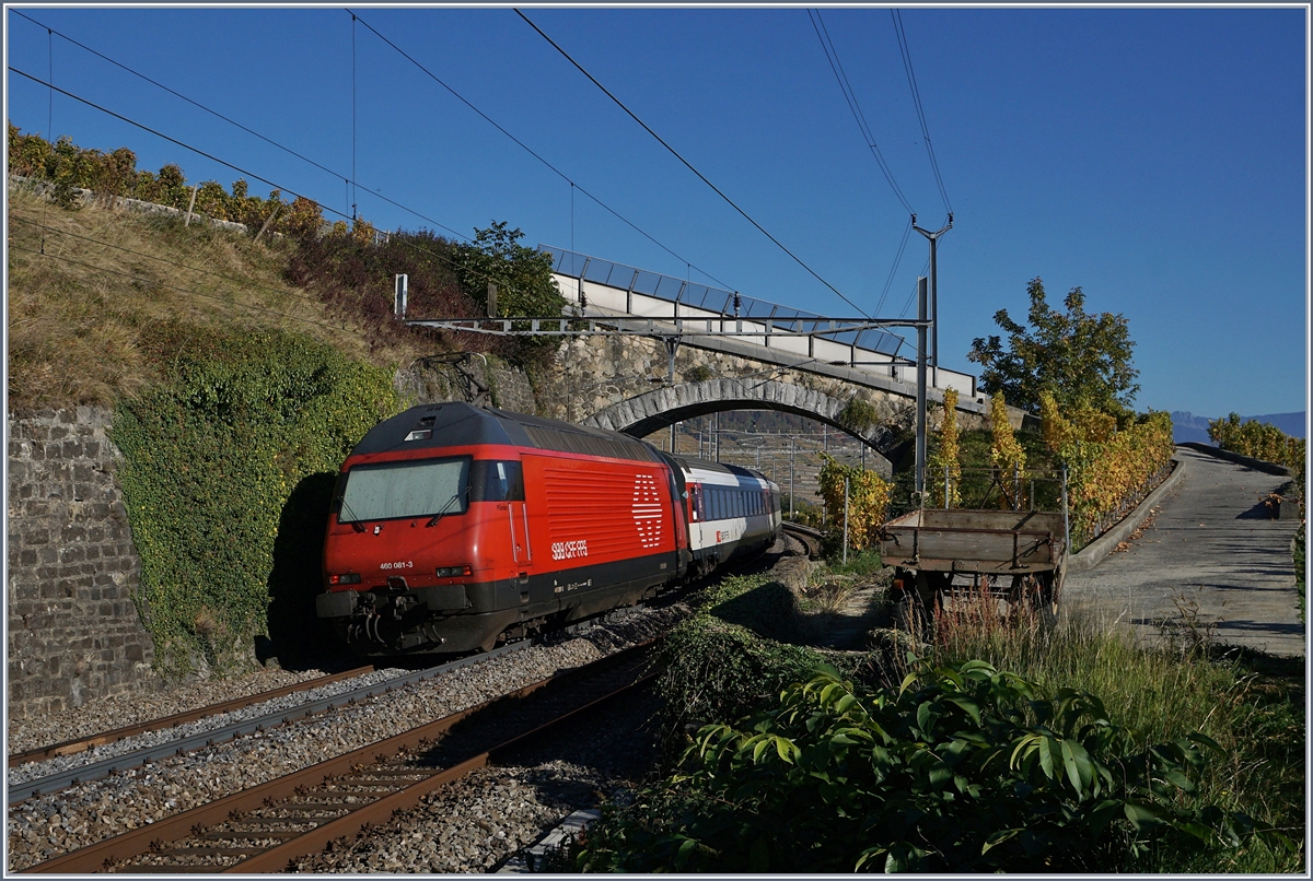 Die SBB Re 460 081-3 schiebt ihren IR Richtung Brig durchs Lavaux.
16. Okt 2017