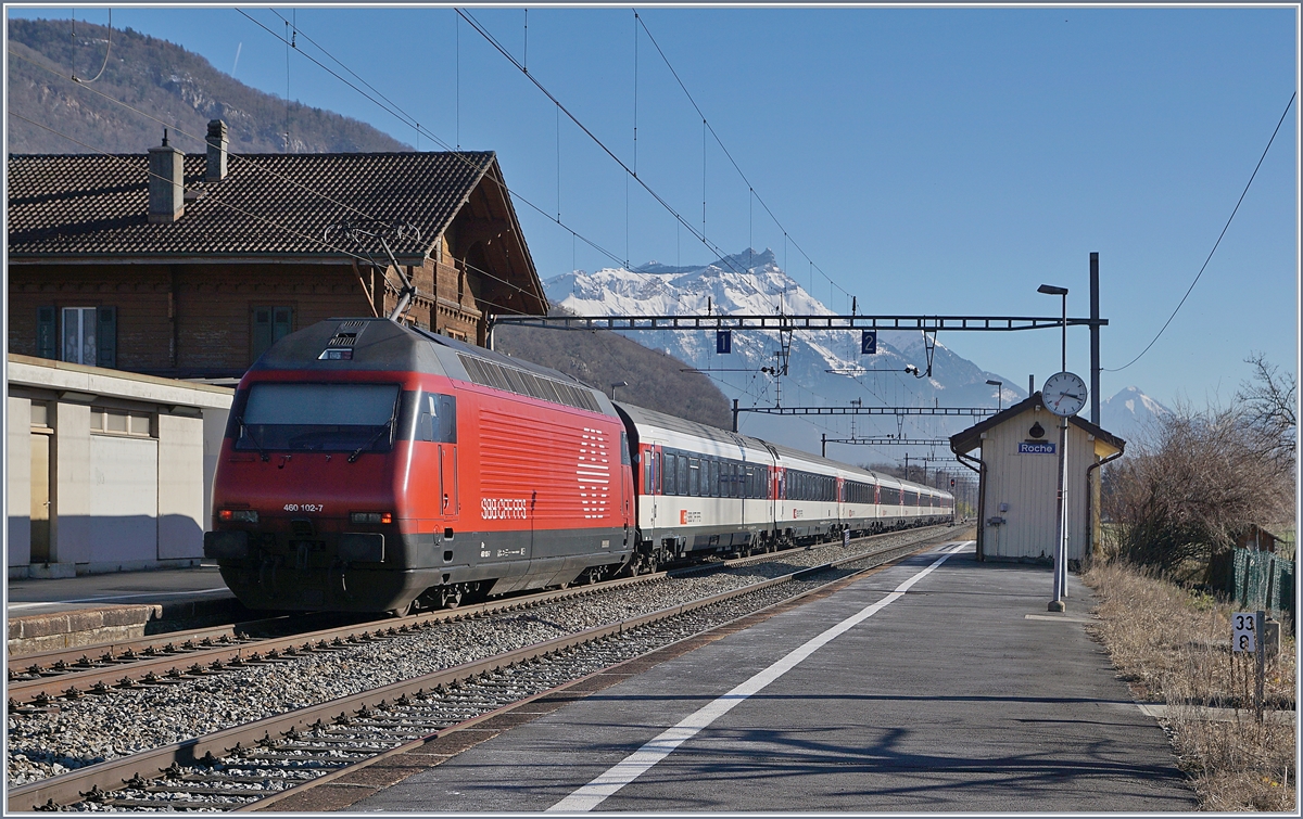 Die SBB Re 460 102-7 schieb bei Roches VD ihren IR Richtung Brig.

17.02.2019 