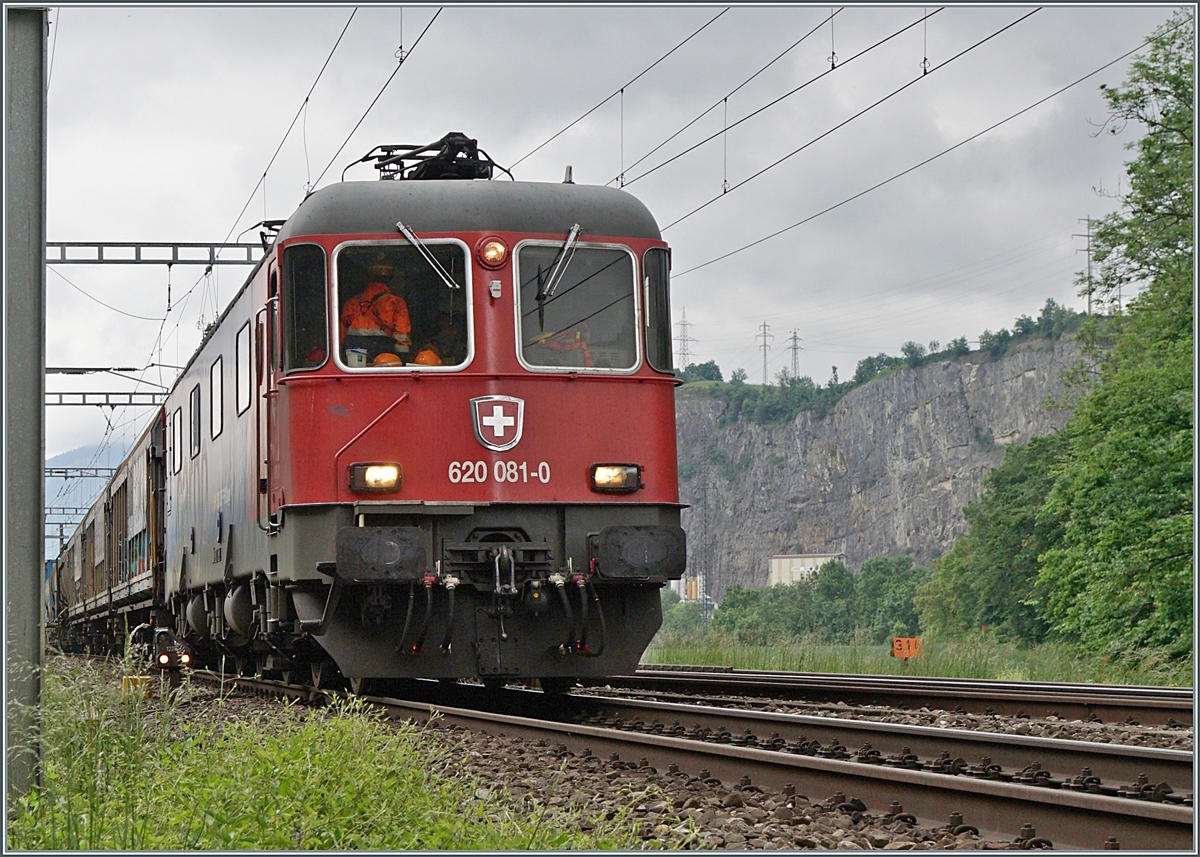 Die SBB Re 6/6 11680 (Re 620 081-0 )  Möhlin  überraschte mich, weshalb das Bild etwas improvisiert wirkt. 
Bei St-Maurice, den 14. Mai 2020