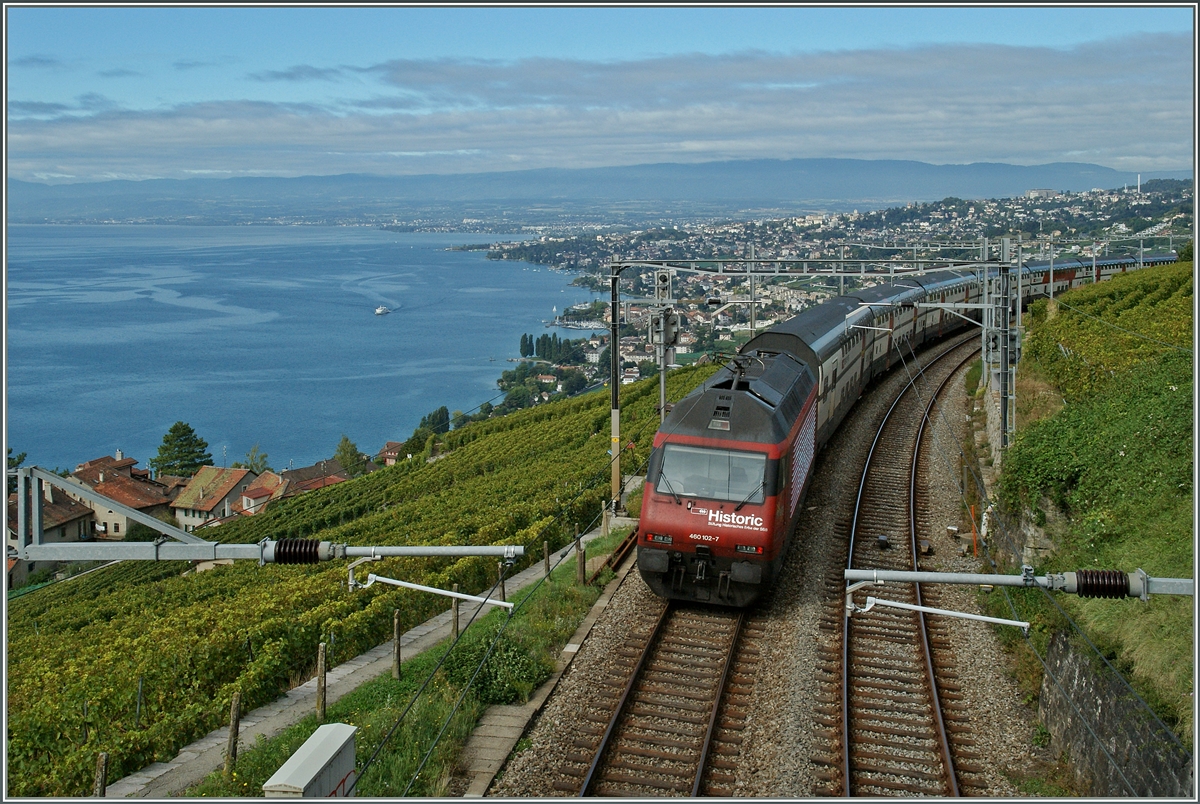 Die Schublok (bzw. in diesem Fall  Bremslok) Re 460 102-7 mit ihrem IR Luzern - Genève Aéroport kurz nach Grandvaux.
20.Sept. 2013