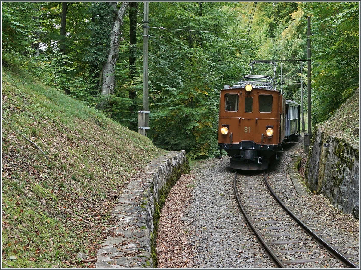 Die Strecke der Blonay-Chamby Bahn ist mit gut drei Kilometer nicht sehr lang, und doch bietete sie unzählige Fotomotive, wie z.B hier kurz vor der Baie de Clarens Brücke im Wald oberhalb von Blonay mit der Bernina Bahn Ge 4/4 81 auf dem Weg nach Chamby.

11. Oktober 2020