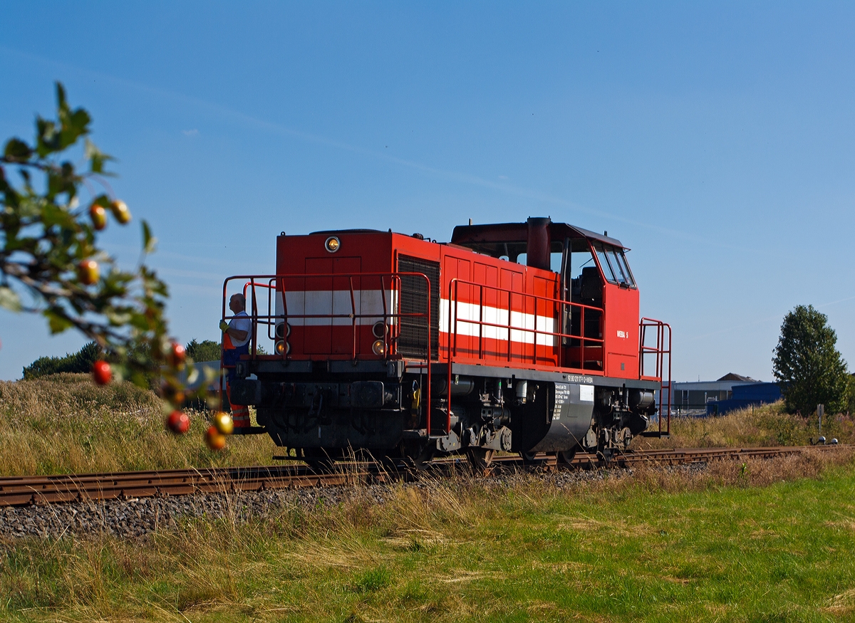 Die Westerwaldbahn (WEBA) Lok 5 (DH 1004) am 04.09.2013 beim Rangieren in Weitefeld.

Die Ursprungslok ist die DB V100 1177 (ab 1968 DB 211 177-1) welche 1961 von Henschel unter der Fabriknummer 30526  gebaut wurde. 1999 erfolgte der Umbau durch Vossloh nach dem Konzept von On Rail mit Serienteilen der Type G1205 unter Verwendung von Rahmen und Drehgestellen in die DH 1004, die neue Fabriknummer ist DH 1004 / 2. Rahmen und Drehgestellen sind noch die alten von der V 100, darber ist alles neu.