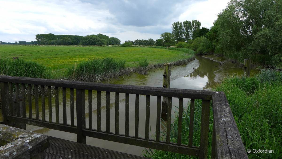 Die Wischhafener Süderelbe am Ortsrand von Dornbusch.