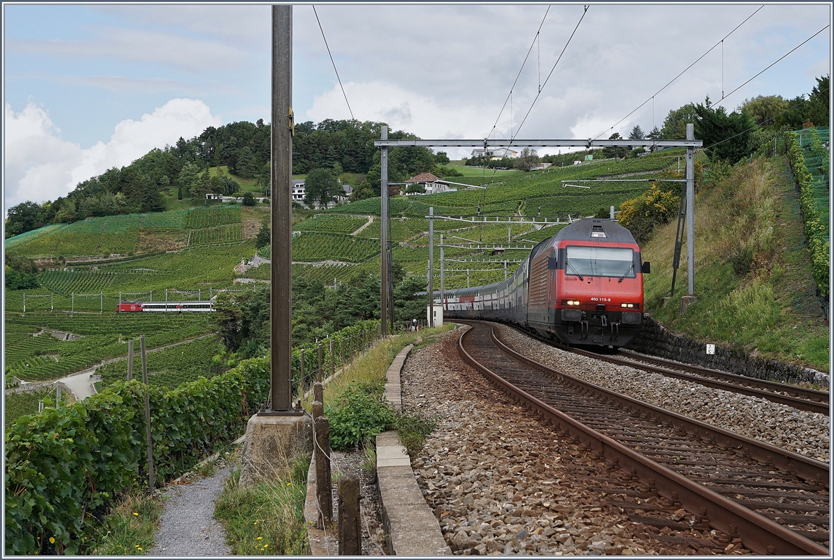 Dies Bild zeigt nicht etwa zwei Züge, sondern einen IC, die hintere Re 460 schiebt, doch nicht notwendigerweise hier im Lavaux zwischen Bossiere und Grandvaux, sondern sie ist unabkömmlich, damit in Zürich HB der neuen, unterirdischen Bahnhof angefahren werden kann.
6. Sept. 2017