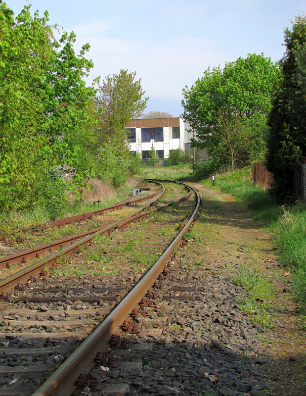 Dieses Gleis führte früher nach Barchfeld.Heute führt das Gleis noch zum Kieswerk.
Das Gleis links und die Weiche wurden bestimmt seit der Stilllegung der Strecke Immelborn-Barchfeld nicht mehr benutzt.Aufgenommen am 19.April.2014