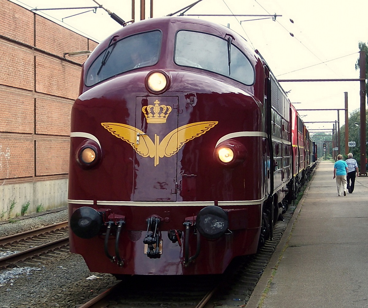 Drei NOHABS und drei Wagen....also pro Wagen 1433kW...Sonderzug 60 Jahre NOHAB mit Zuglok DSB Museum Litra My 1101 in Padborg. 05.09.2014