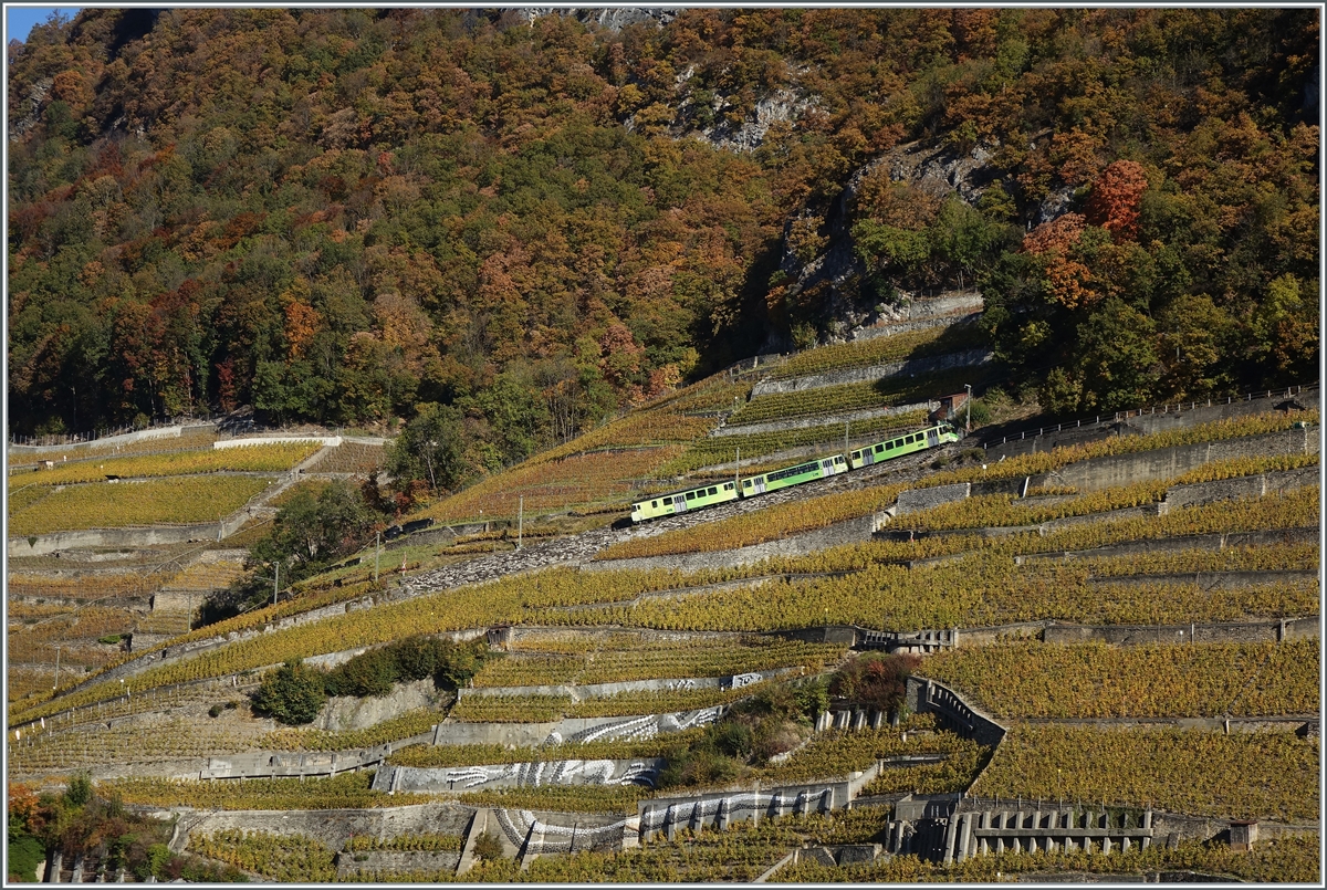 Ein A-L Regionalzug von Aigle nach Leysin, bestehende aus einem BDeh 4/4 und zwei Bt-Steuerwagen ist in den Weinreben oberhalb Aigle auf der Bergfahrt.

27. Oktober 2021