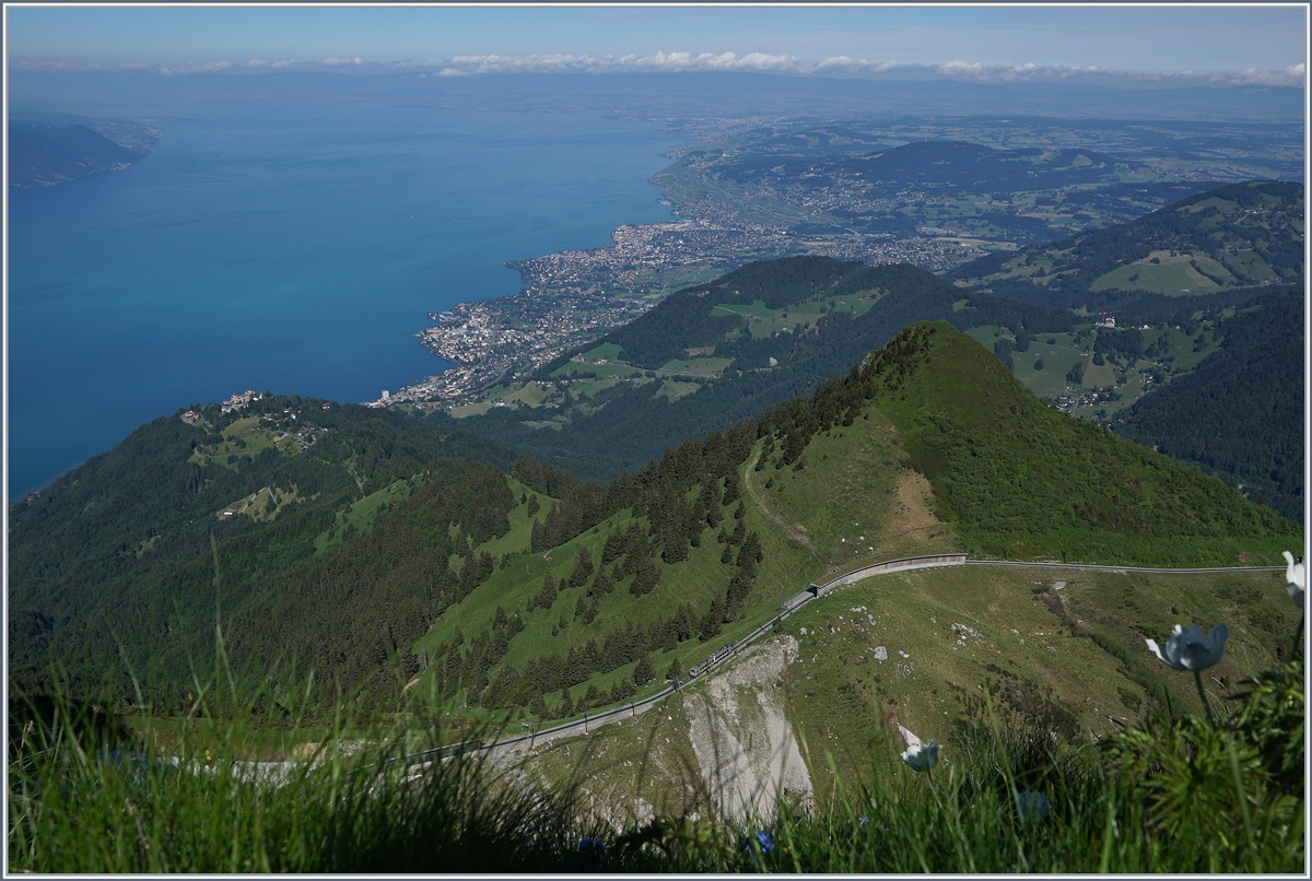 Ein Blick vom Rochers de Naye auf die Wasserscheide zwische Rhone und Rhein welche geradevon einemk Bhe 4/8 befahren wird.
28. Juni 2016