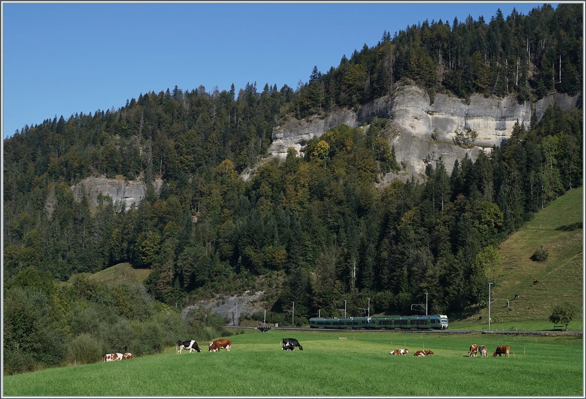 Ein BLS RABe 535  Lötschberger  und RABe 525  NINA  haben das Emmental verlassen und fahren nun durchs Entlebuch in Richtung Wolhusen.

30. Sept. 2020