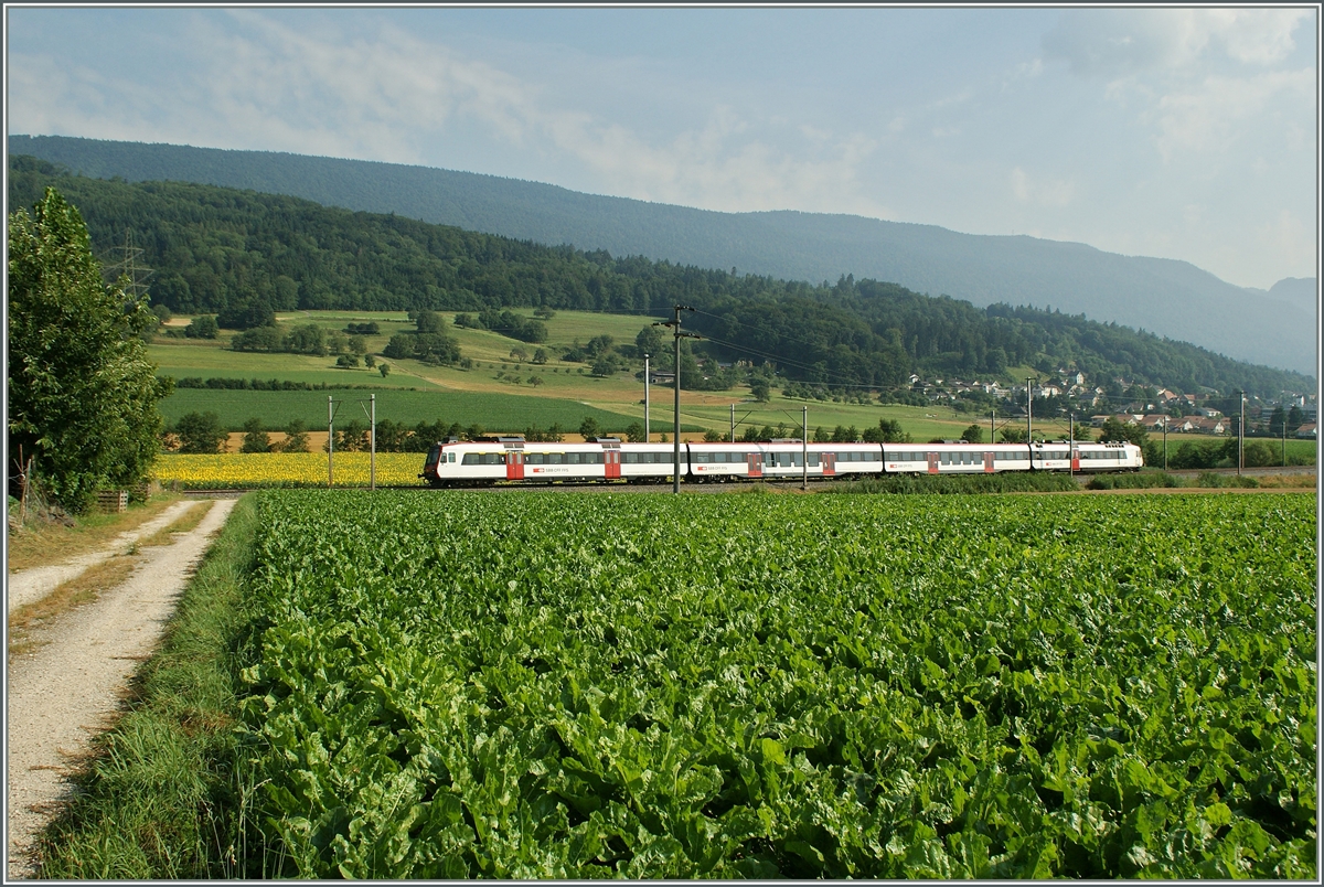 Ein Domino als RE nach Delle zwischen Pietrelen und Lengnau. 
23. Juli 2013