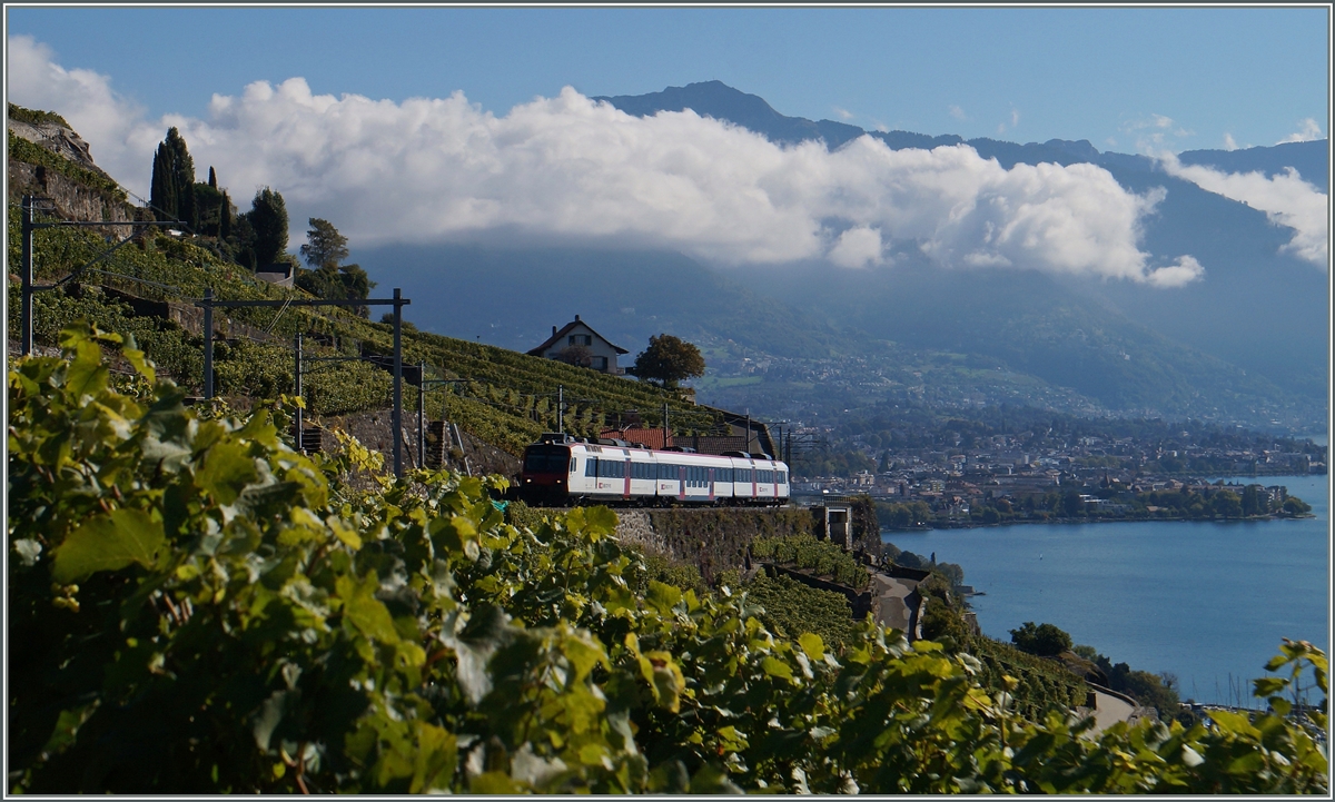 Ein Domino auf der  Train des Vignes  Strecke oberhalb von St-Saphorin.
4. Okt. 2015