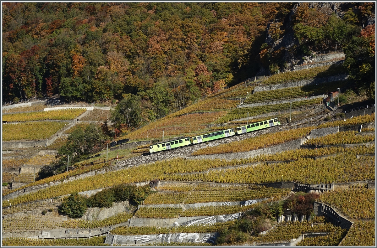 Ein dreiteiliger A-L Regionalzug in den Weinbergen oberhalb von Aigle auf der Fahrt nach Leysin. 

27. Okt. 2021