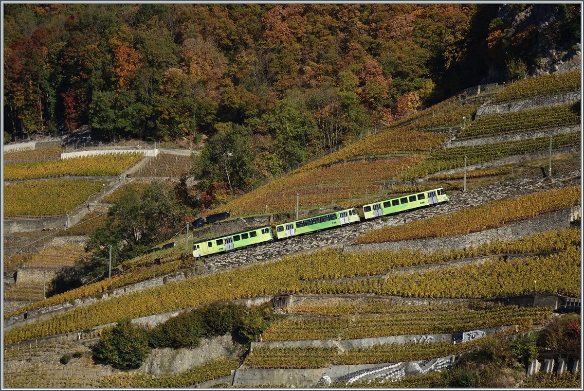 Ein dreiteiliger A-L Zug in den Weinbergen oberhalb von Aigle auf dem Weg nach Leysin. 

27. Okt. 2021