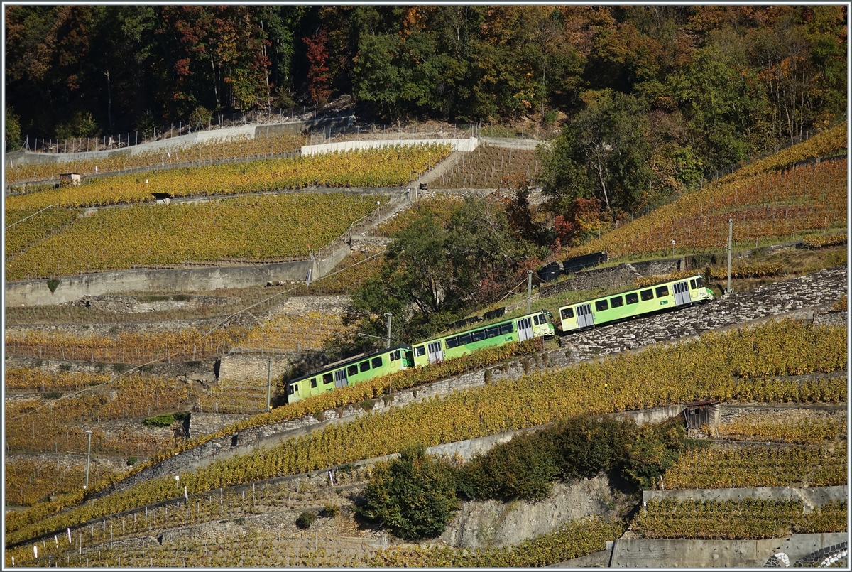 Ein dreiteiliger TPC A-L Regionalzug (zwei Steuerwagen und ein Triebwagen) fahren in den Weinbergen oberhalb von Aigle in Richtung Leysin. 

27. Okt. 2021