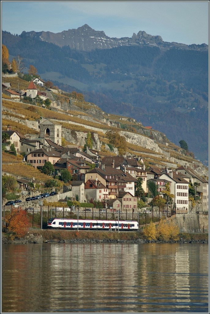 Ein Flirt am Ufer des Lac Léman bei St-Saphorin.
4. Nov. 2010