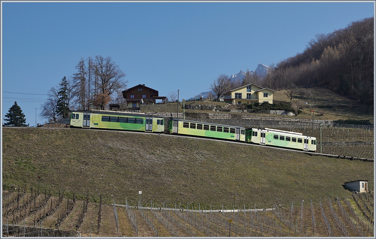 Ein Frequenz bedingt dreiteiliger ASD Regionalzug in den Weinreben oberhalb von Aigle. 

23. Feb.2019 