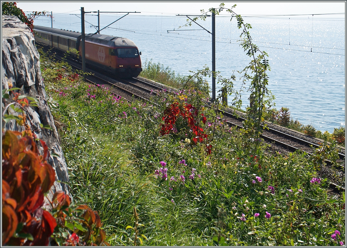 Ein Hauch Herbst im Lavaux. 
3. Okt. 2015