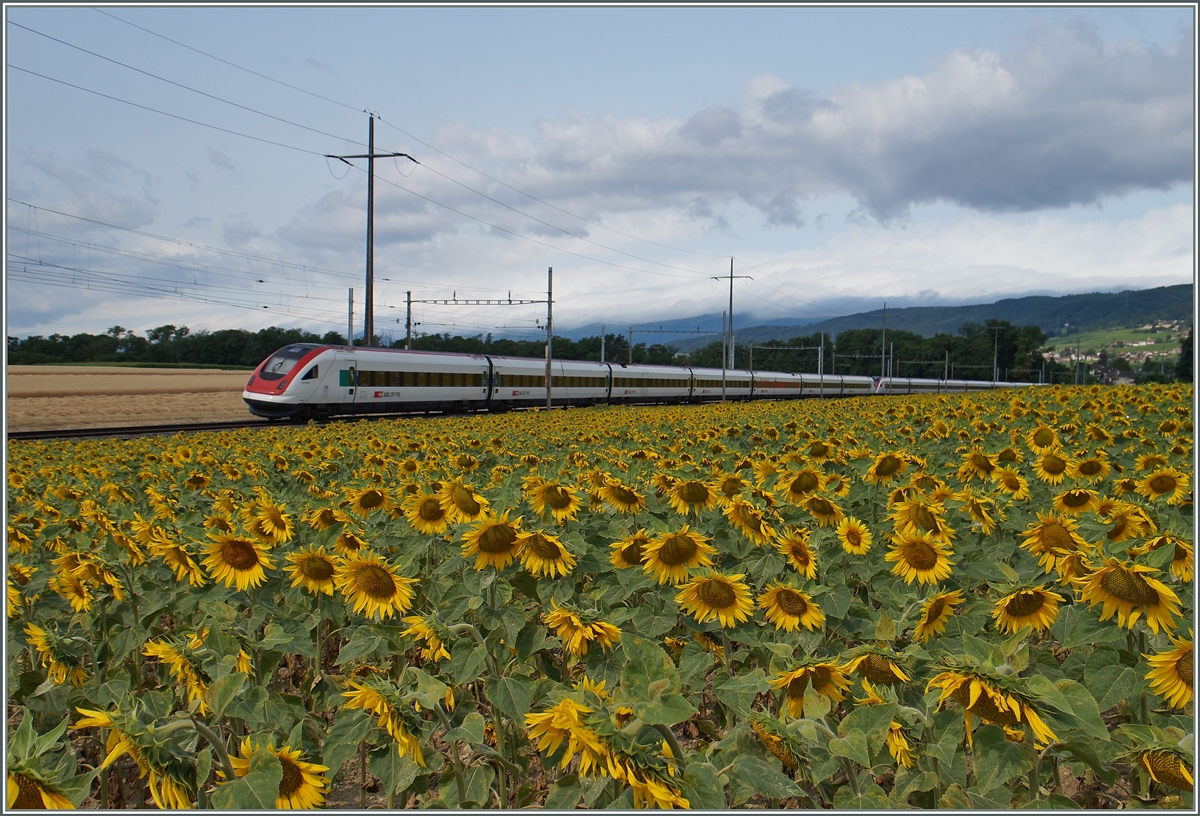 Ein ICN auf dem Weg Richtung Genève kurz nach Allaman.
8. Juli 2015