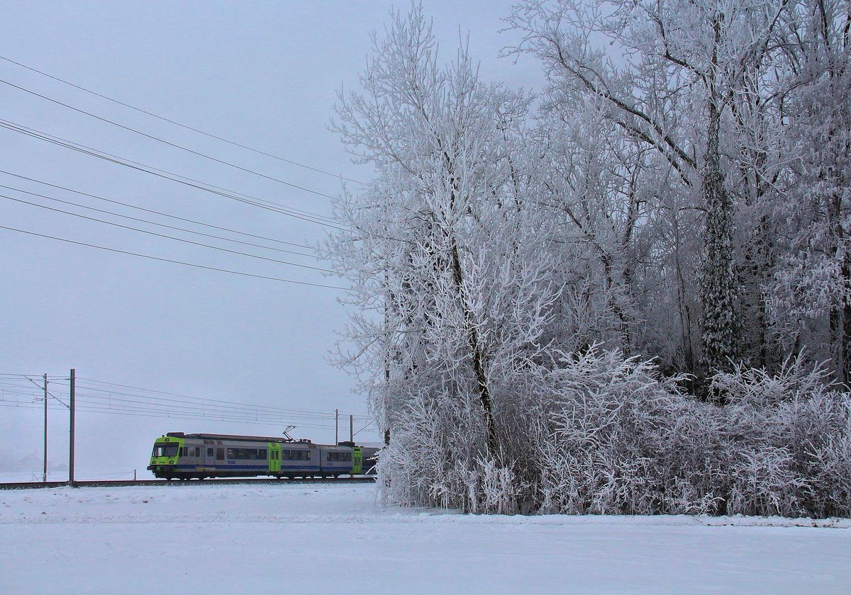 Ein kalter Tag an der Bahnlinie Bern-Thun: BLS NPZ verschwindet hinter den gefrorenen Bäumen. 23.1.17