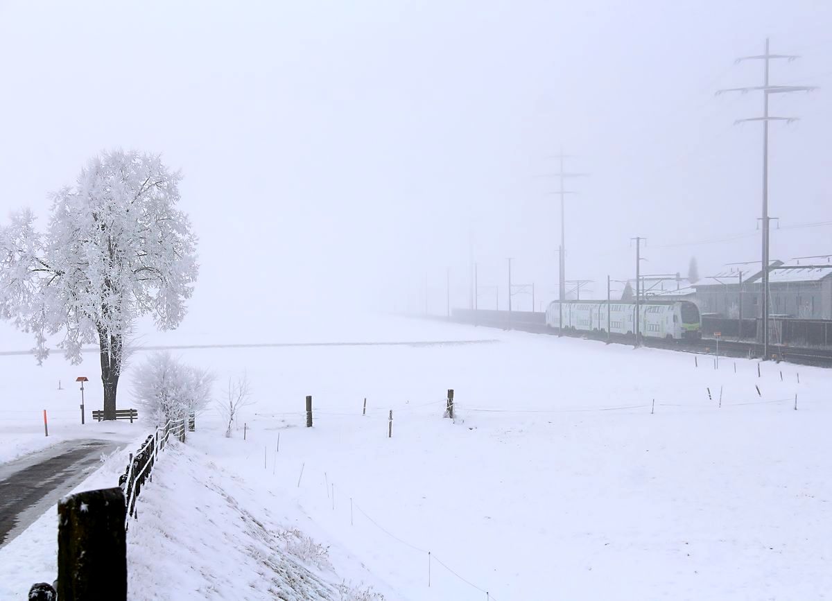 Ein kalter Tag an der Bahnlinie Bern-Thun: Auch ein BLS MUTZ darf nicht fehlen, hier auf einer Fahrt ins Nichts. 23.1.17. 
