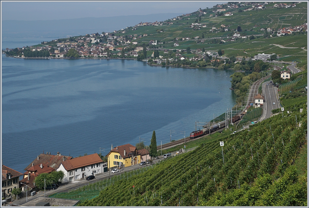 Ein kurzer Güterzug auf der Fahrt Richtung Vevey kurz nach Epesses. 
30. August 2017