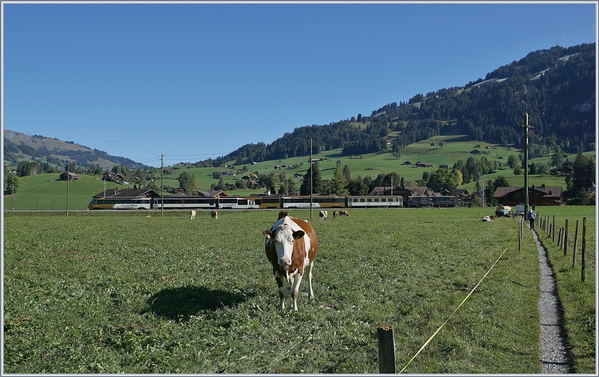 Ein MOB GoldenPanoramic Express ist zwischen Gstaad und Sannen auf dem Weg nach Montreux.

3. Ok.t 2019