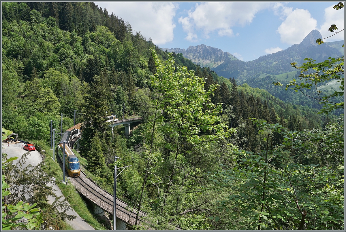 Ein MOB Panoramic Express mit zwei Steuerwagen und der hinter einer Tanne versteckten Lok GDe 4/4 ist auf der 93 Meter langen Pont Gardiol unterwegs. 17. Mai 2020