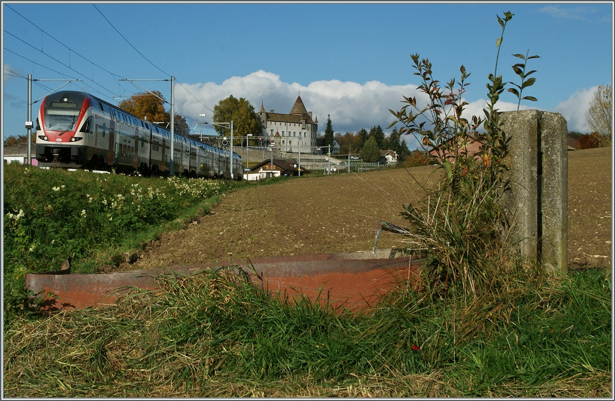 Ein RABe 511 als RE Romont - Genève bei Oron. 
30. Okt. 2014