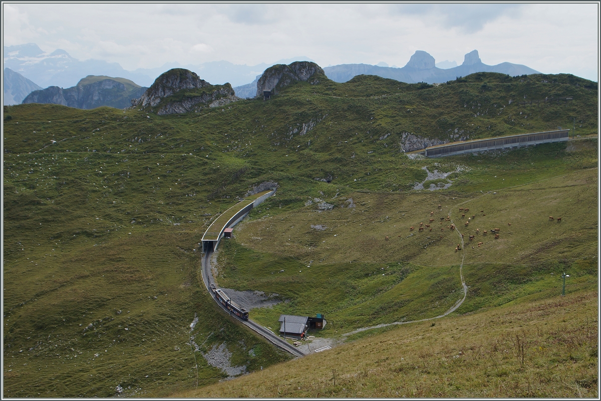 Ein Rochers de Naye Beh 4/8 kurz nach der Gipfelstation Rochers de Naye. 
4. Sept. 2014