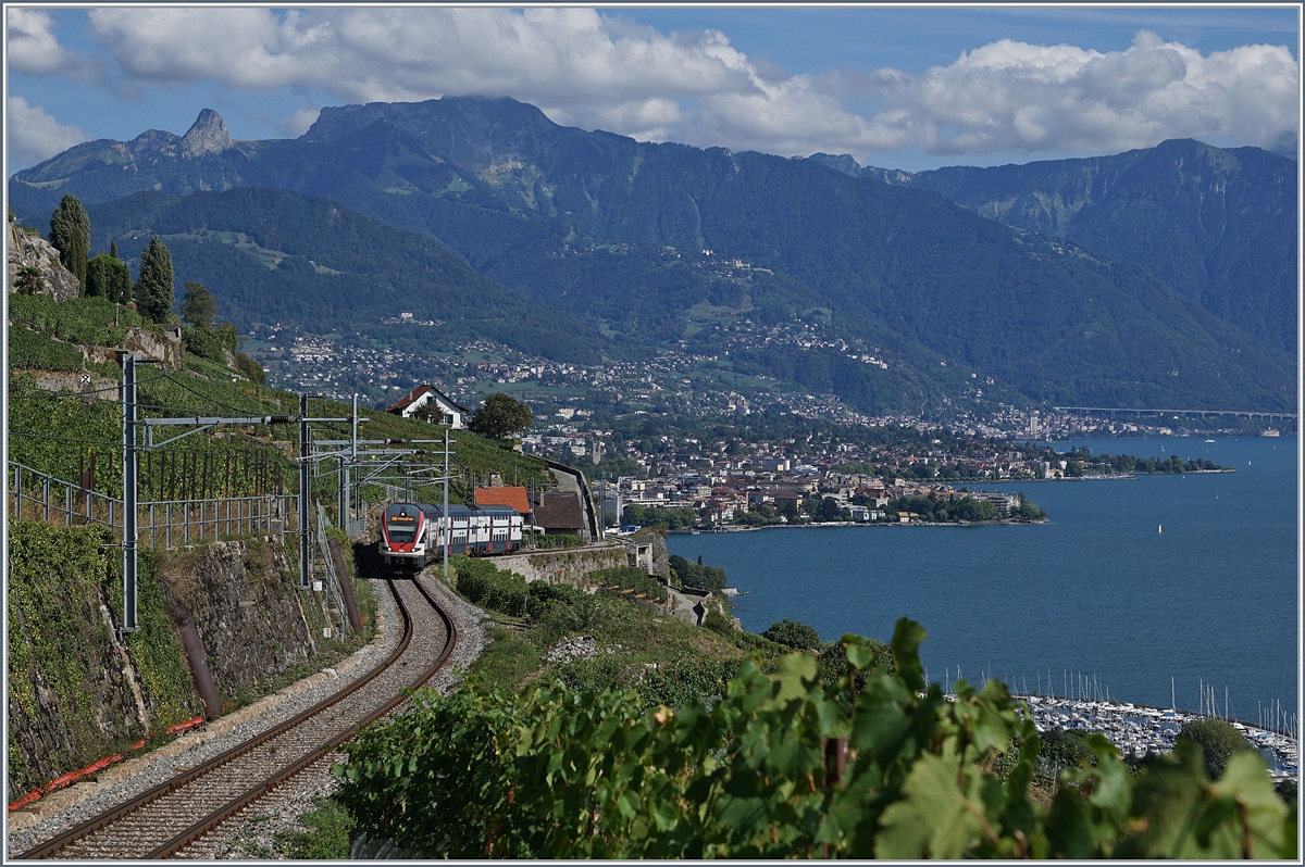 Ein SBB RABe 511 auf der Fahrt durch die Weinberge des Lauvaux oberhalb von St-Saphorin.

26. Aug. 2018