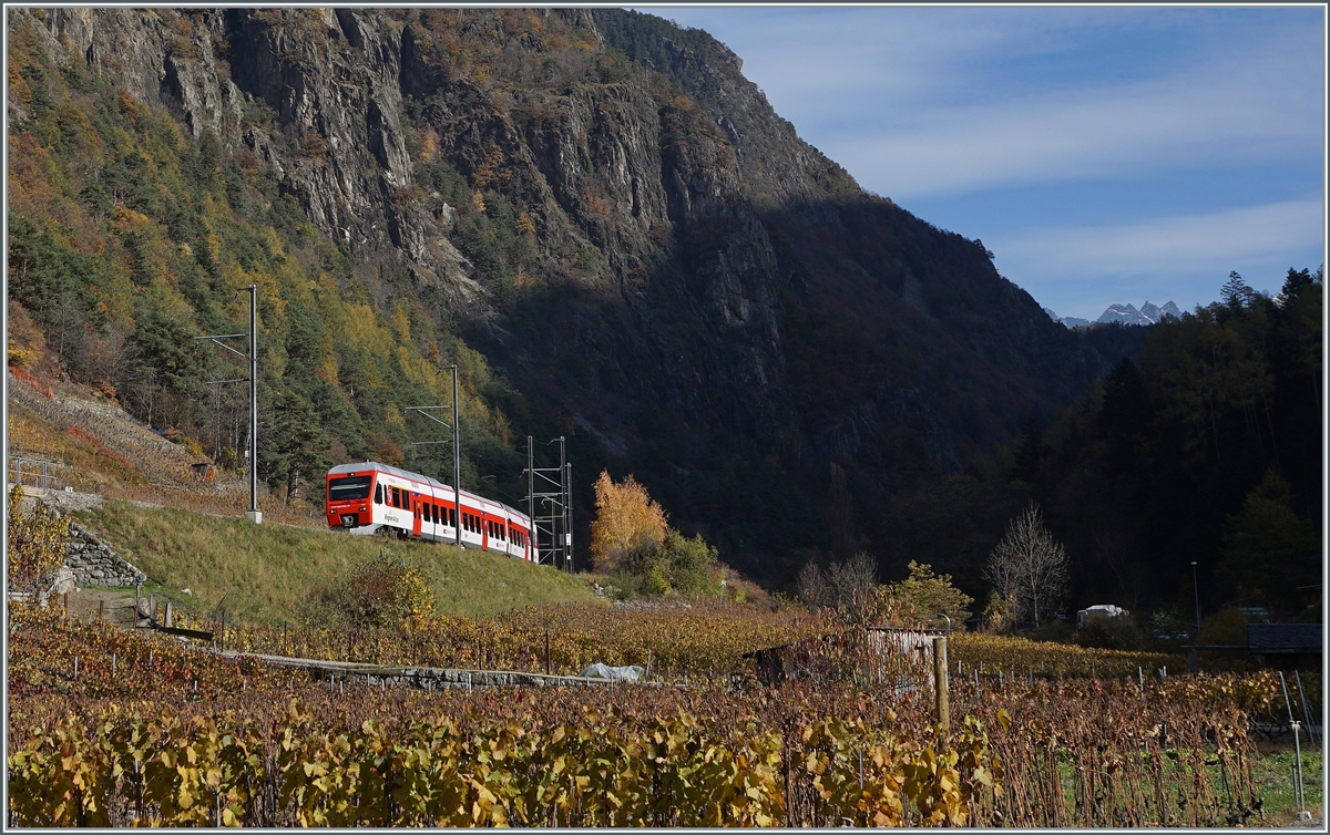 Ein TMR RABe 525  Nina  ist in den herbstlichen Weinreben bei Bovernier auf dem Weg in Richtung Martigny. 

10. Nov. 2020