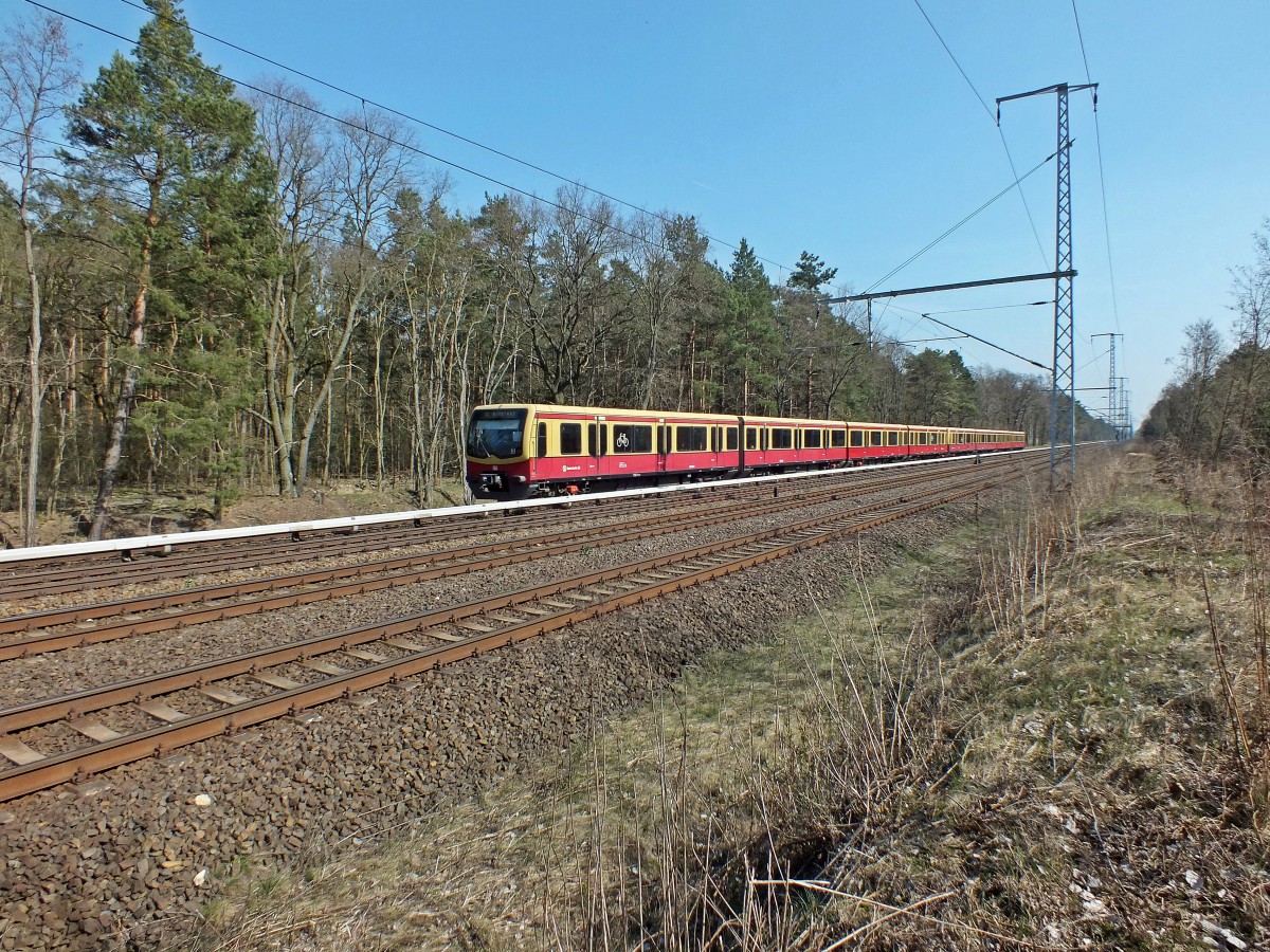 Ein Vollzug 481er mit 481 268 an der Spitze fährt hier am 30.03.2014 gerade nahe des Friedrichshagener Wasserwerkes in Richtung Ostkreuz.