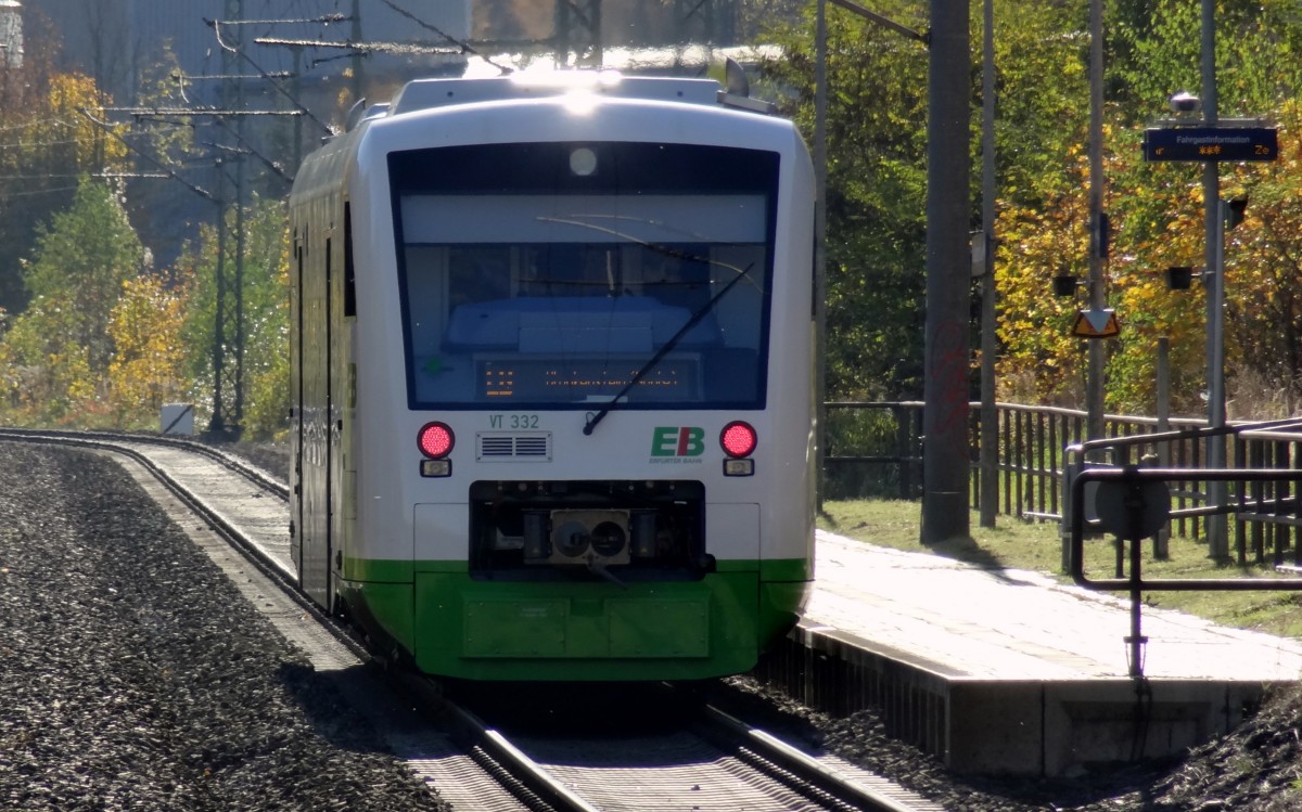 Ein VT650 der Elster-Saale-Bahn ist auf dem Weg nach Blankenburg unterwegs. 
Aufgenommen im Oktober 2013 in Kaulsdorf.
