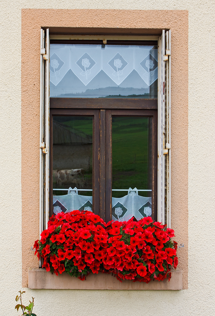 
Ein wunderschönes Fenster in Erpeldange(L) am 13.09.2014