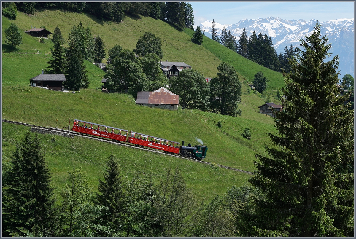 Ein Zug der Brien Rrothorn Bahn auf Talfahrt kurz nach Planalp.
7. Juli 2016