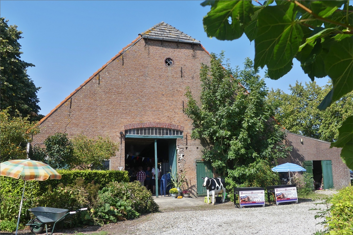 Eine leerstehende Scheune in Noord Brabant. August 2019 (Jeanny) 