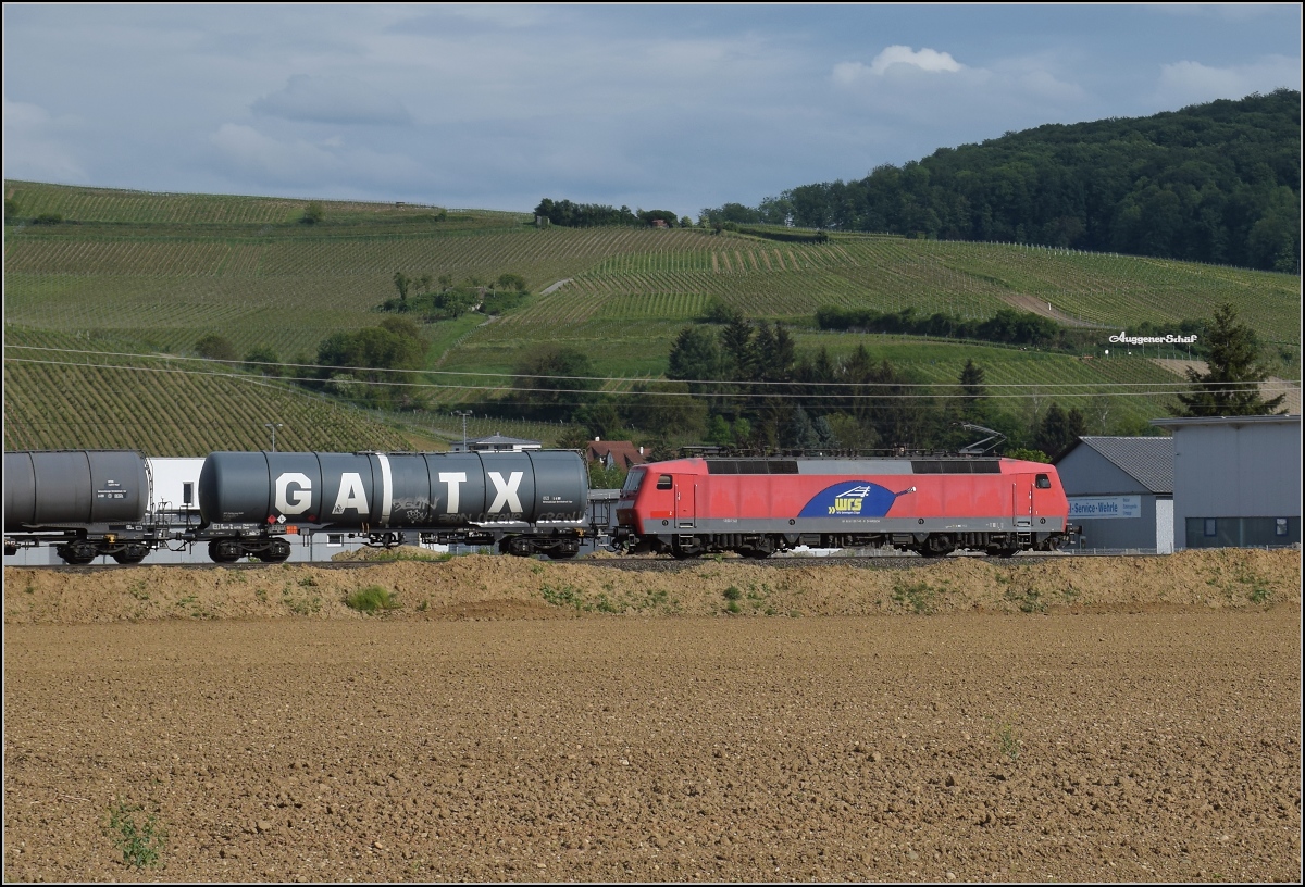 Eine Neuschweizerin auf dem Weg nach Basel. 120 145 der WRS auf der Rheintalbahn vor dem Weinberg des Auggener Schäf. Mai 2020.