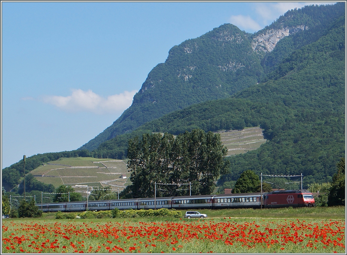 Eine Re 460 mit dem IR 1813 von Genève Aéroport nach Brig zwischen Roche VD und Yvoire.
27. Mai 2015