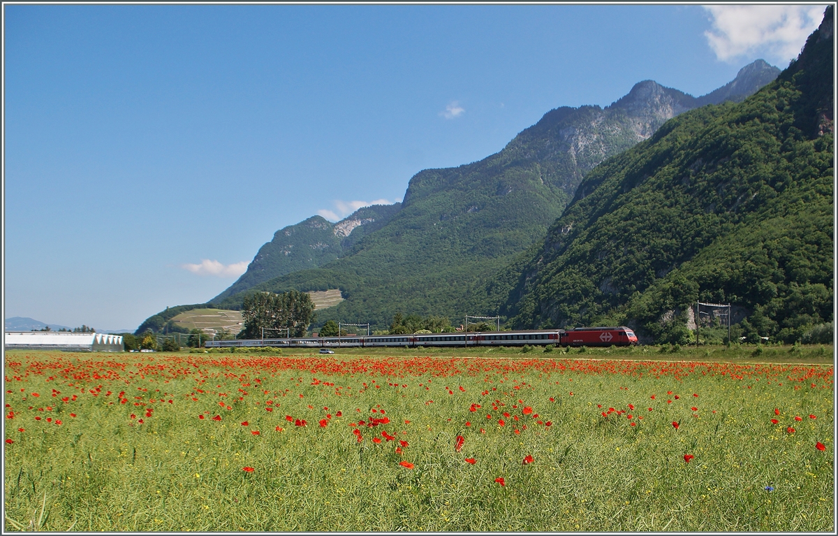 Eine Re 460 mit ihrem IR 1813 zwischen Roche VD und Yvorne. 
27. Mai 2015