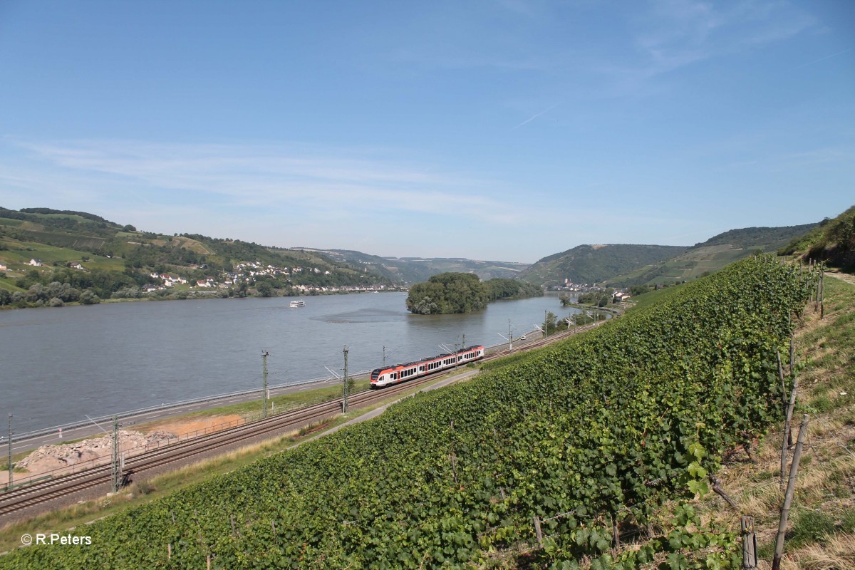 Eine Vias kurz hinter Lorch am Rhein auf dem Weg nach Frankfuret/Main. 18.07.14