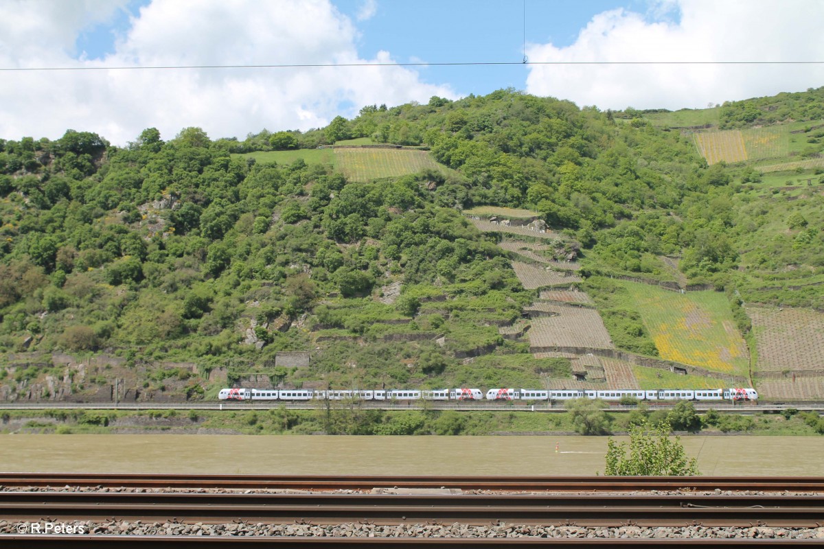 Eine zweiteilige  Hamsterbacke  BR 442 auf der Linken Rheinstrecke. 07.05.15