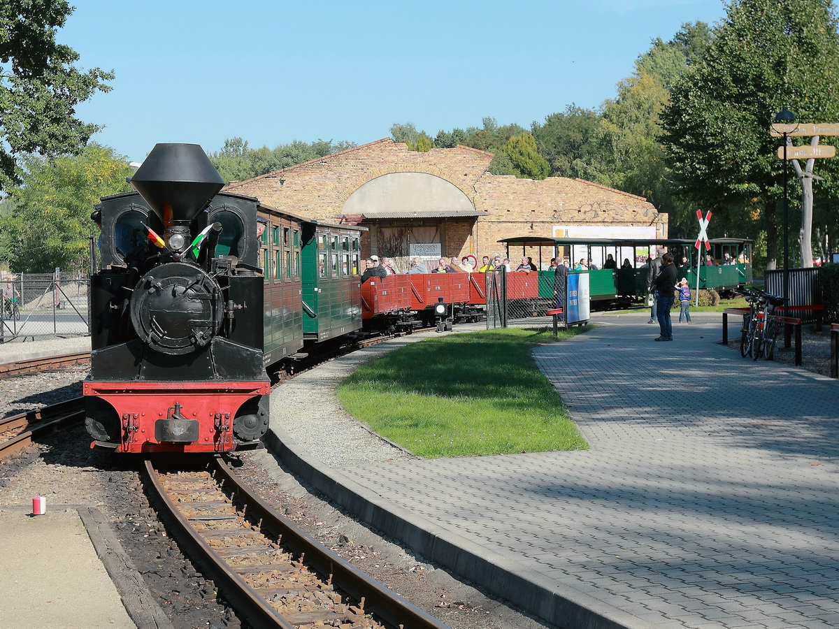 Einfahrt 99 3312 „Diana“ von Borsig, Baujahr 1912  - mit einem Personenzug aus Kromlau - in den Bahnhof Weißwasser am 03. Oktober 2015. 
