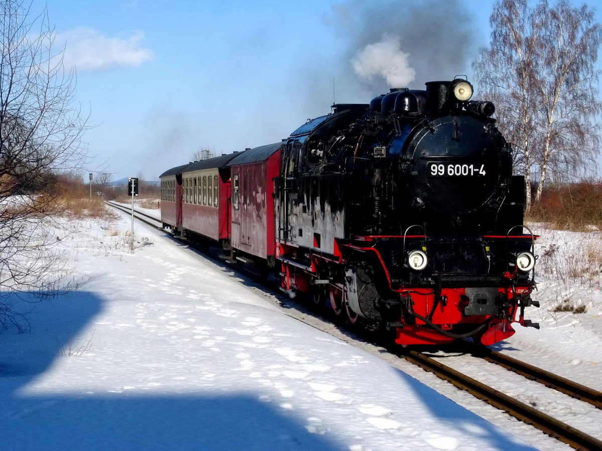Einfahrt 99 6001-4 in den Bahnhof Bad Suderode am 20. Februar 2010.