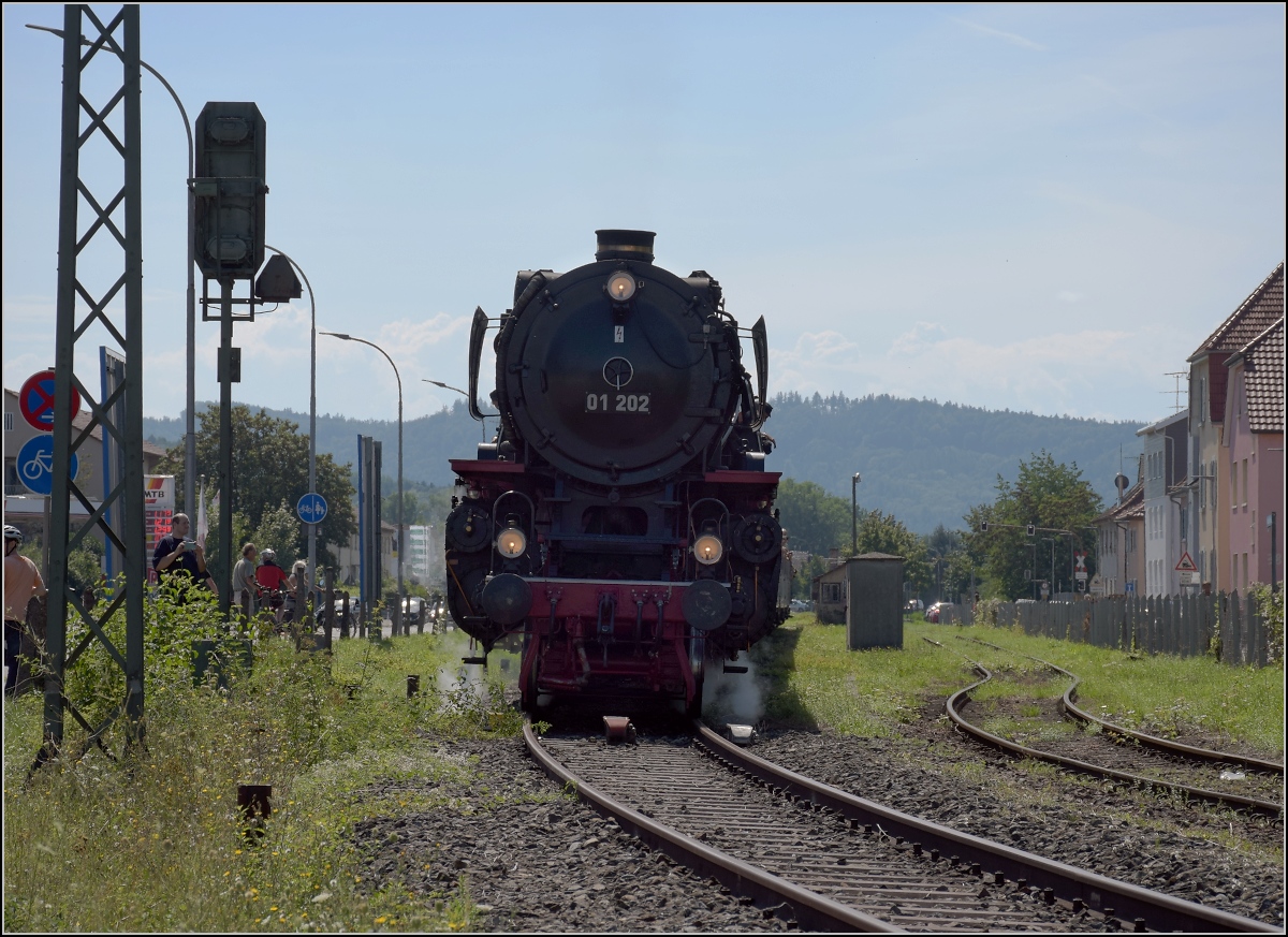Endlich wieder Züge auf dem Schweizerbähnle (Etzwilen-Singen). 

Die letzte Hürde für den ersten Personenzug nach über 50 Jahren. Das Einfahrtsignal nach Singen. Nachdem es die Einfahrt noch um ein paar Minuten behindert hatte, konnte es nun losgehen in den Bahnhof. Singen, August 2020.