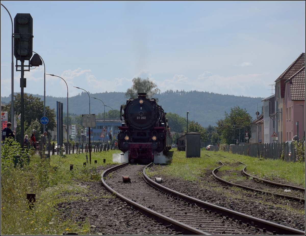 Endlich wieder Züge auf dem Schweizerbähnle (Etzwilen-Singen).

Die letzte Hürde für den ersten Personenzug nach über 50 Jahren. Das Einfahrtsignal nach Singen. Ganz offensichtlich eingerostet, verhinderte es die Einfahrt noch um ein paar Minuten. Singen, August 2020.