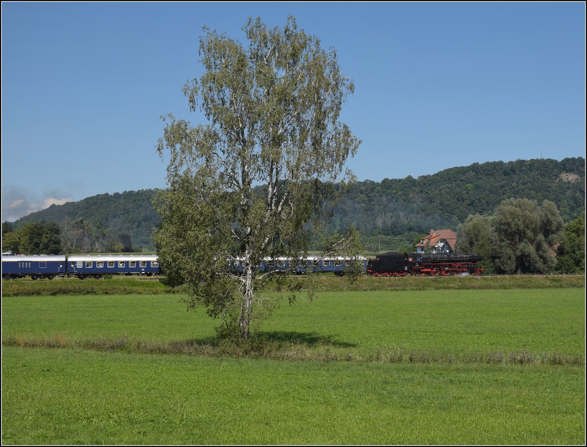 Endlich wieder Züge auf dem Schweizerbähnle (Etzwilen-Singen). 

01 202 mit dem Eröffnungszug zwischen Ramsen und Rielasingen, August 2020.