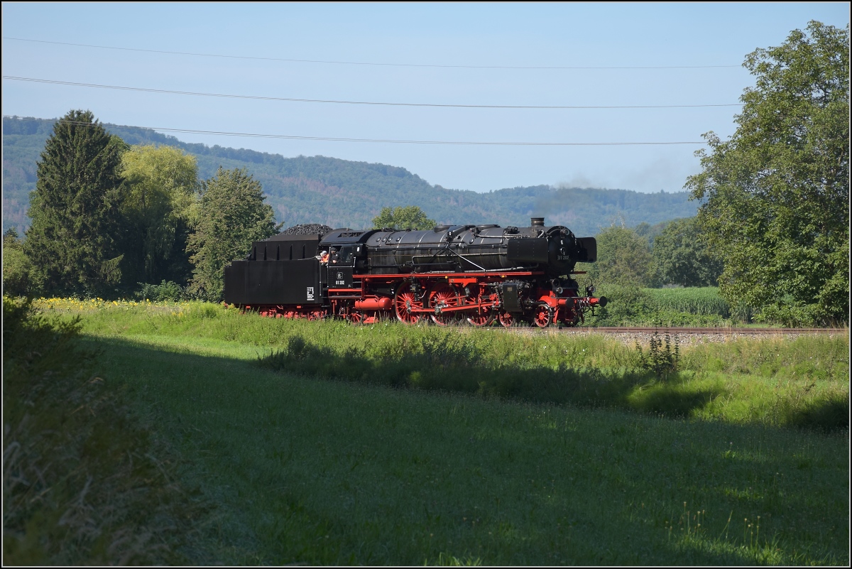 Endlich wieder Züge auf dem Schweizerbähnle (Etzwilen-Singen). 01 202 erreicht den letzten Bahnübergang vor der Grenze bei Rielasingen, August 2020.