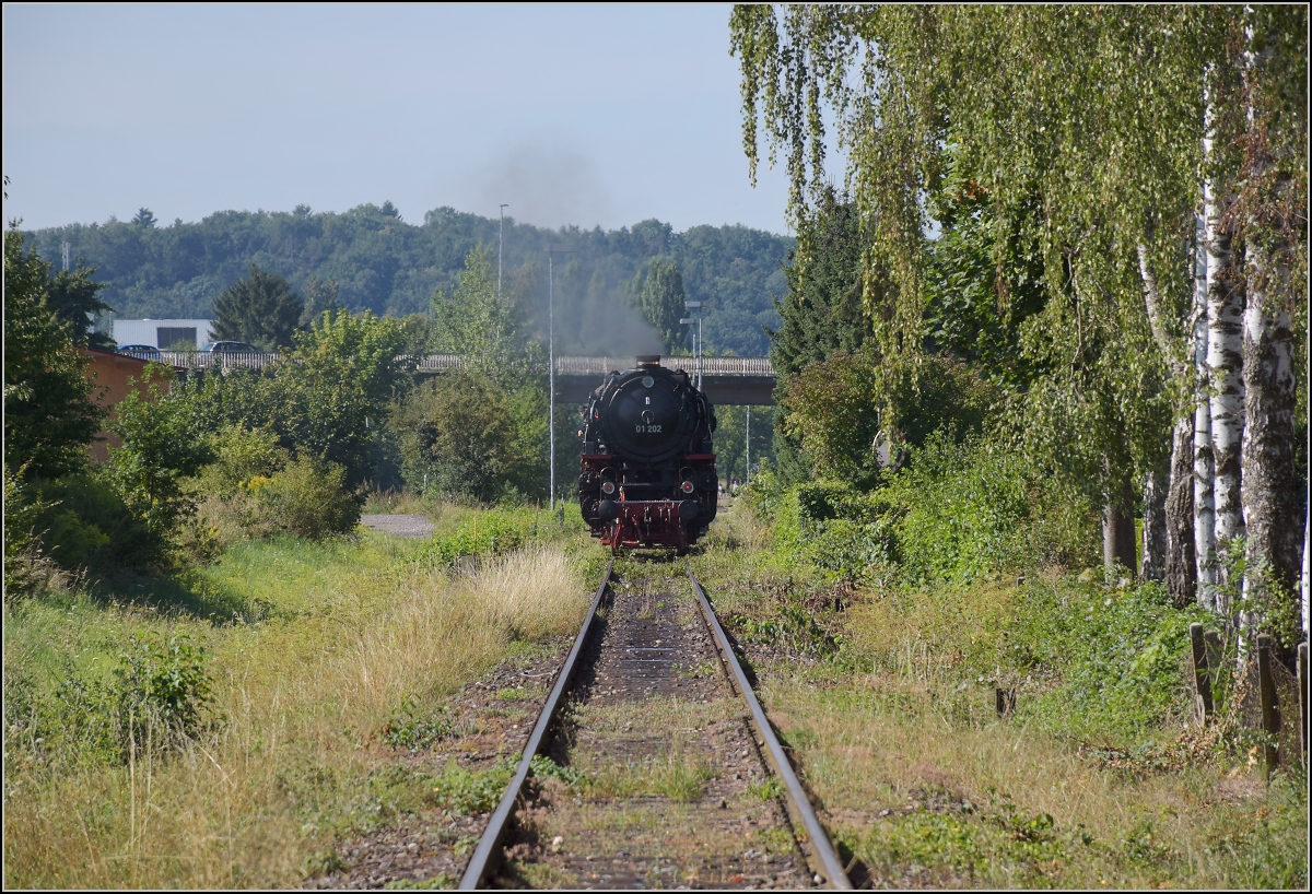 Endlich wieder Züge auf dem Schweizerbähnle (Etzwilen-Singen). 01 202 erreicht Rielasingen, August 2020.